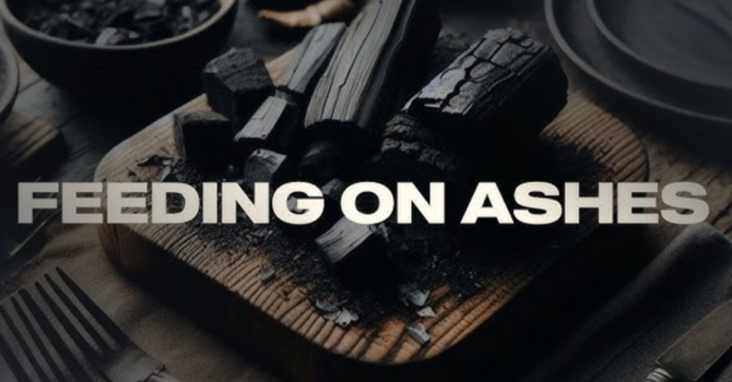 "Feeding On Ashes"