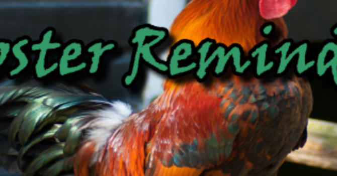 Rooster Reminders 12/22/24