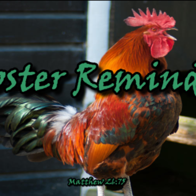 Rooster Reminders 12/22/24