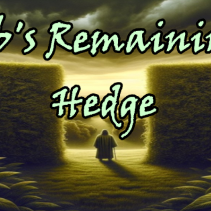 Job's Remaining Hedge 12/15/24