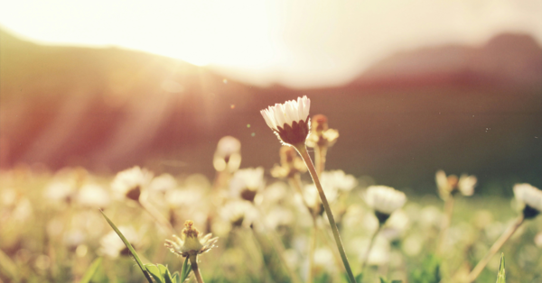 The Art of Spiritual Practice