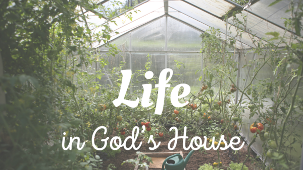 "We Endure Pain for Christ" Sermon Outline