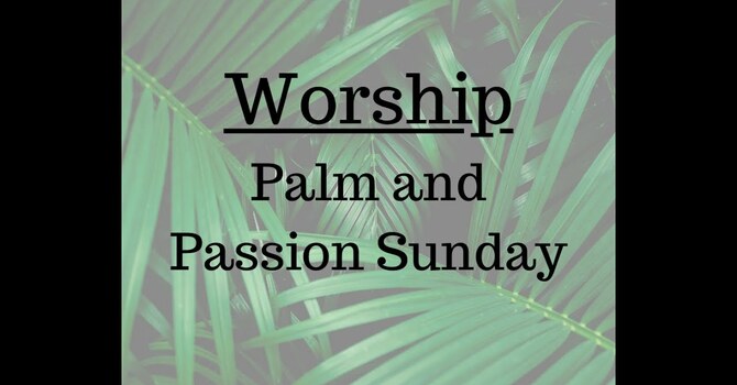 Palm/Passion Sunday