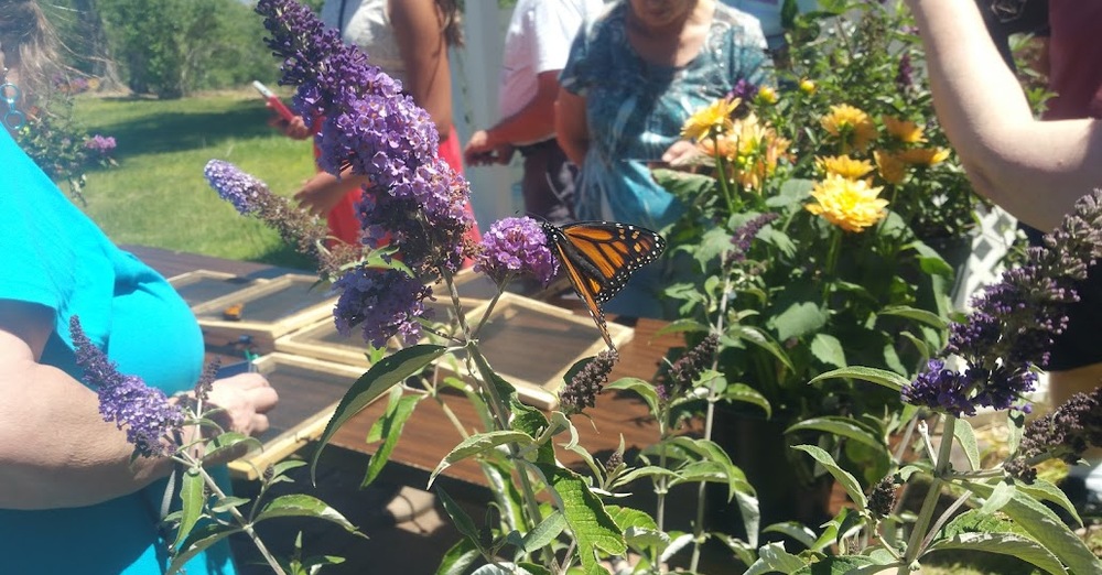 Holy Thursday and Saturday Services Cancelled