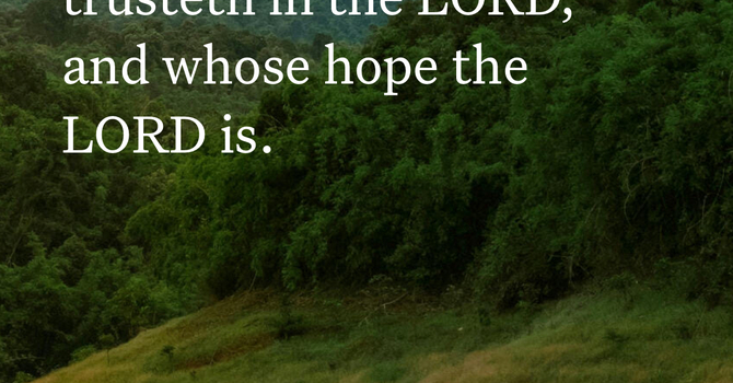 Blessed in Trust image