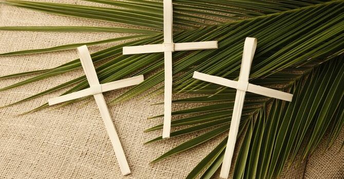 Palm Sunday - Vigil Mass