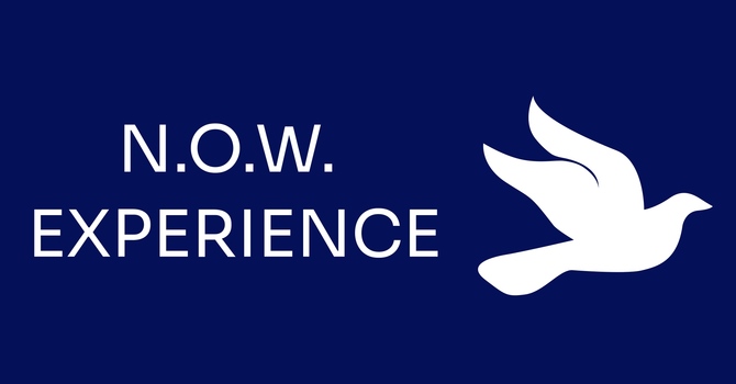 N.O.W. Experience