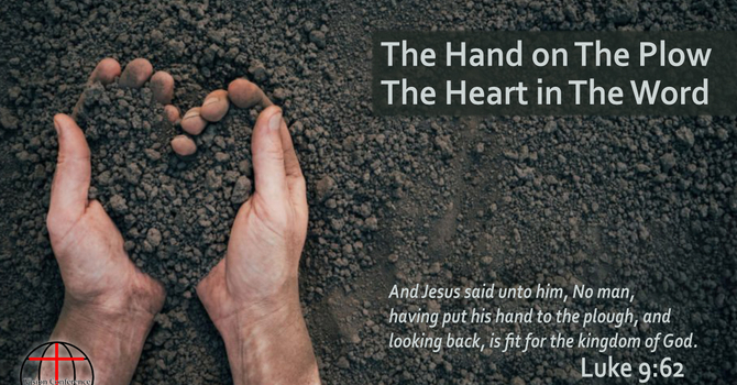 Plowing The Fertile Field