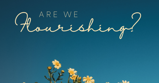 Are we Flourishing? Post II image