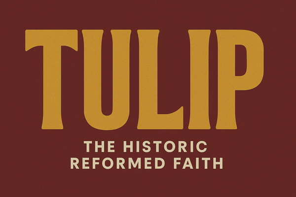 TULIP