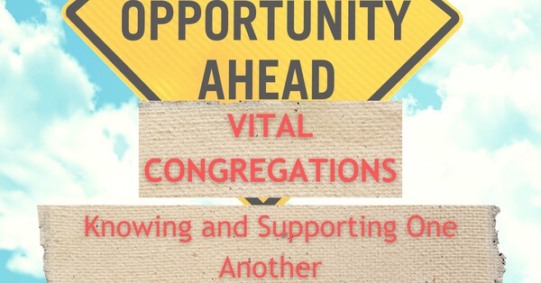 Vital Congregations