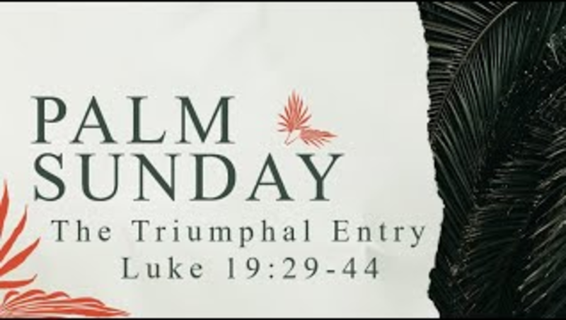 The Triumphal Entry