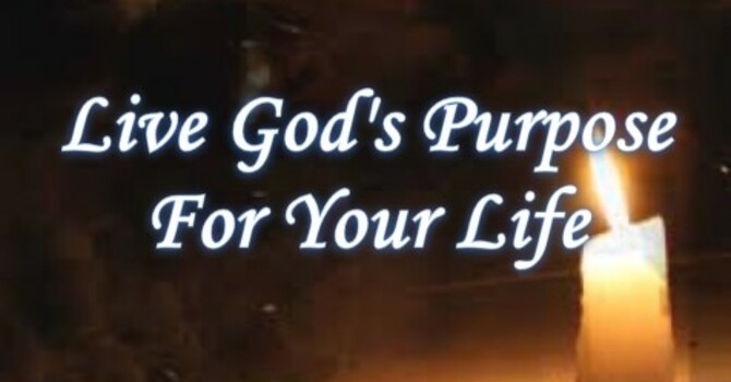 Life God's Purpose For Your Life