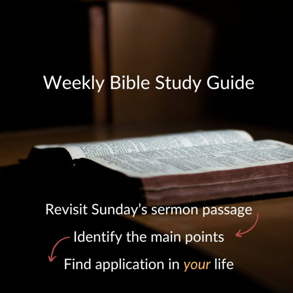 How to use the Bible Study Guide: