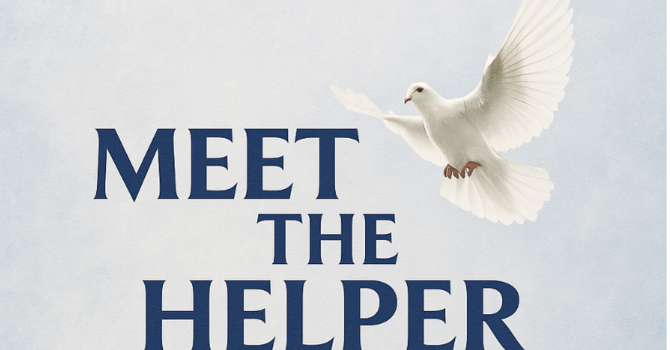 Meet The Helper