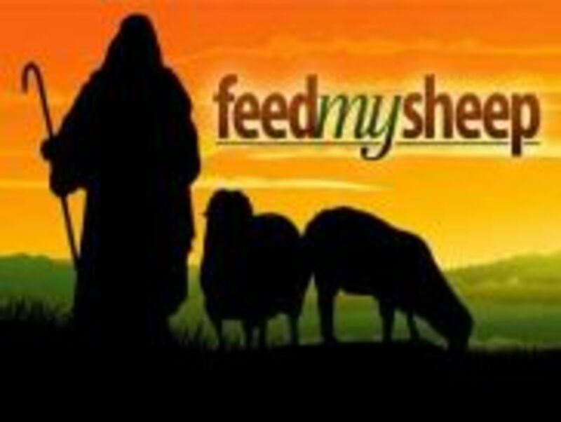 Feed My Sheep