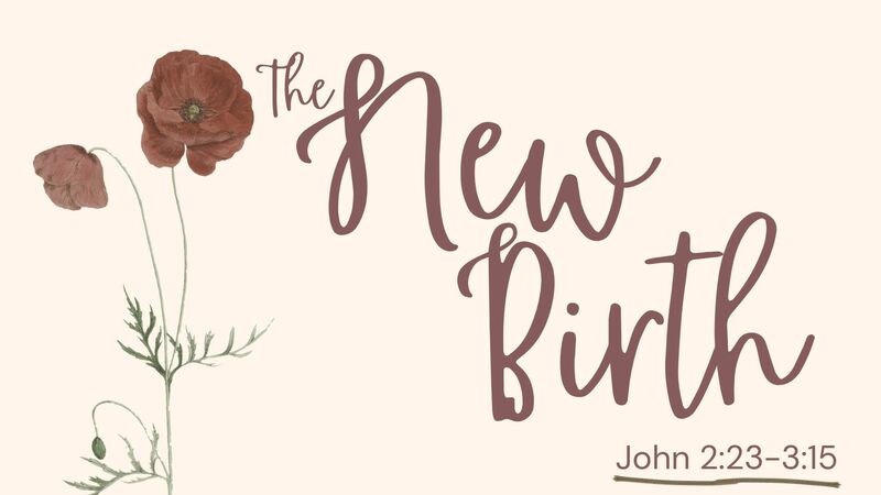 The New Birth