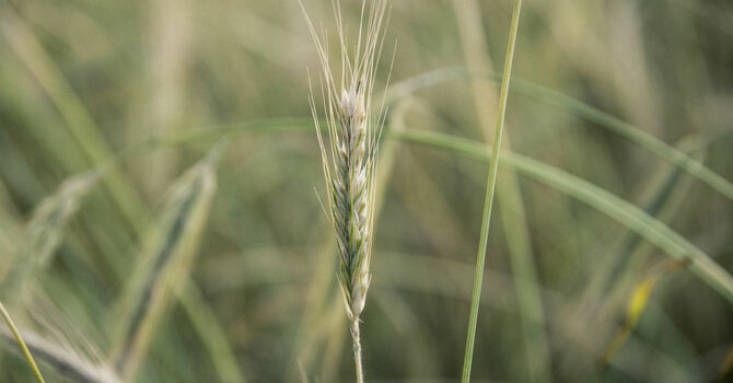 Don't Sell Your Chance