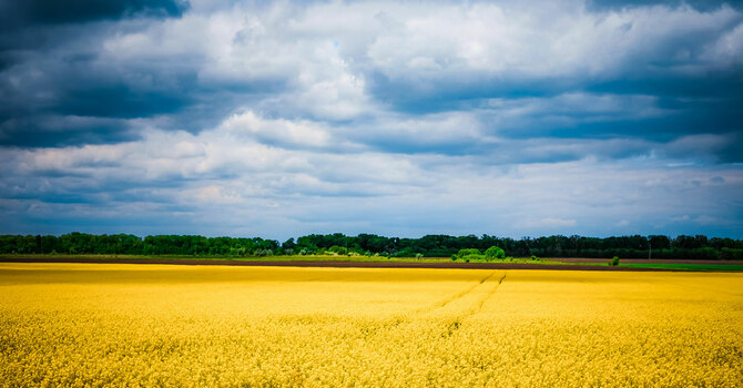 10 Ways to Pray for the Crisis in Ukraine image