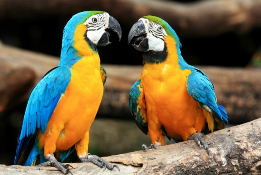 Slideshow image