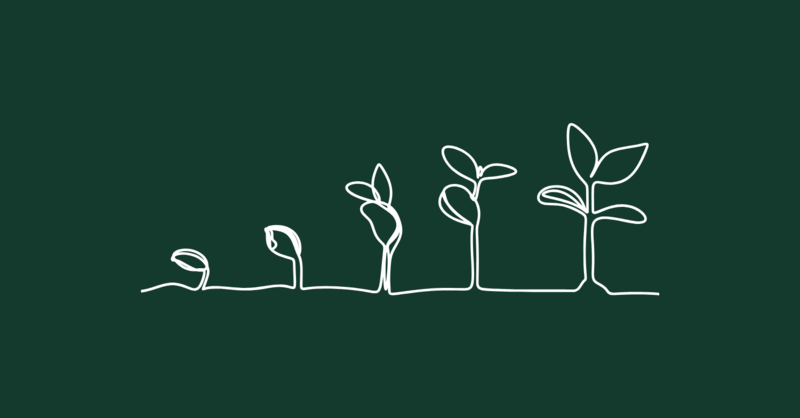Leadership Emergence // How to Emerge as a Kingdom Leader