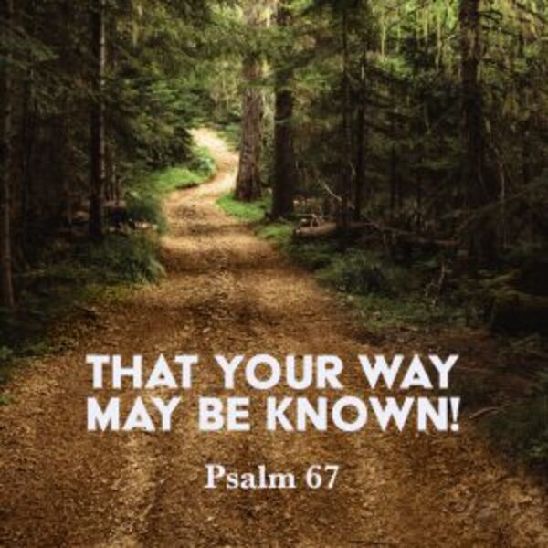 The Word for Wednesday
