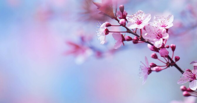 First Interview Scheduled image