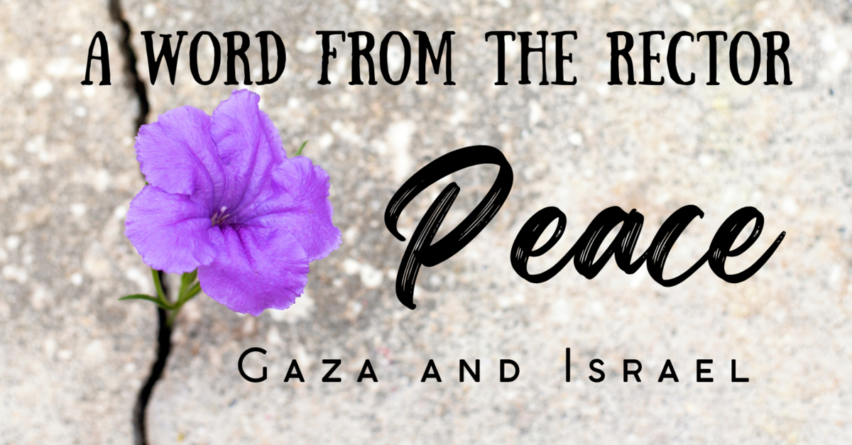 A Word from the Rector: On Gaza, the Museum Shooting, and Our Call to ...