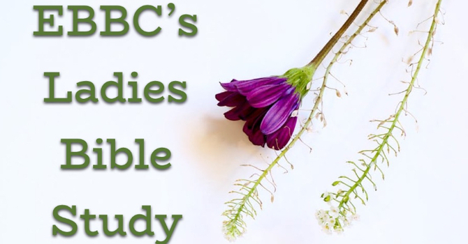 Ladies Bible Study