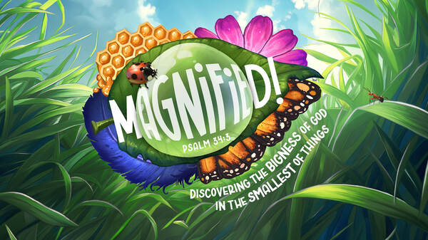 Magnified! VBS 