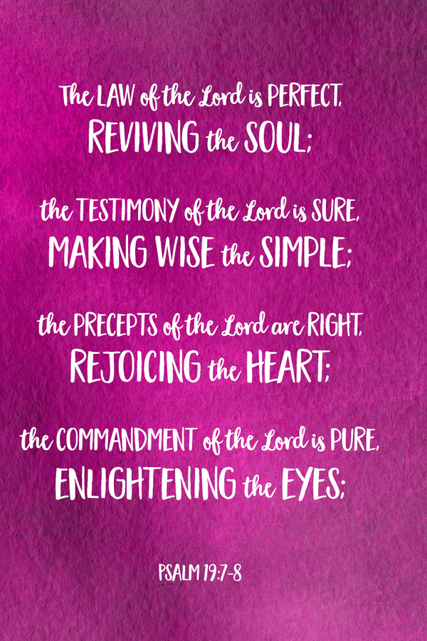 Fighter Verse | June 1, 2025