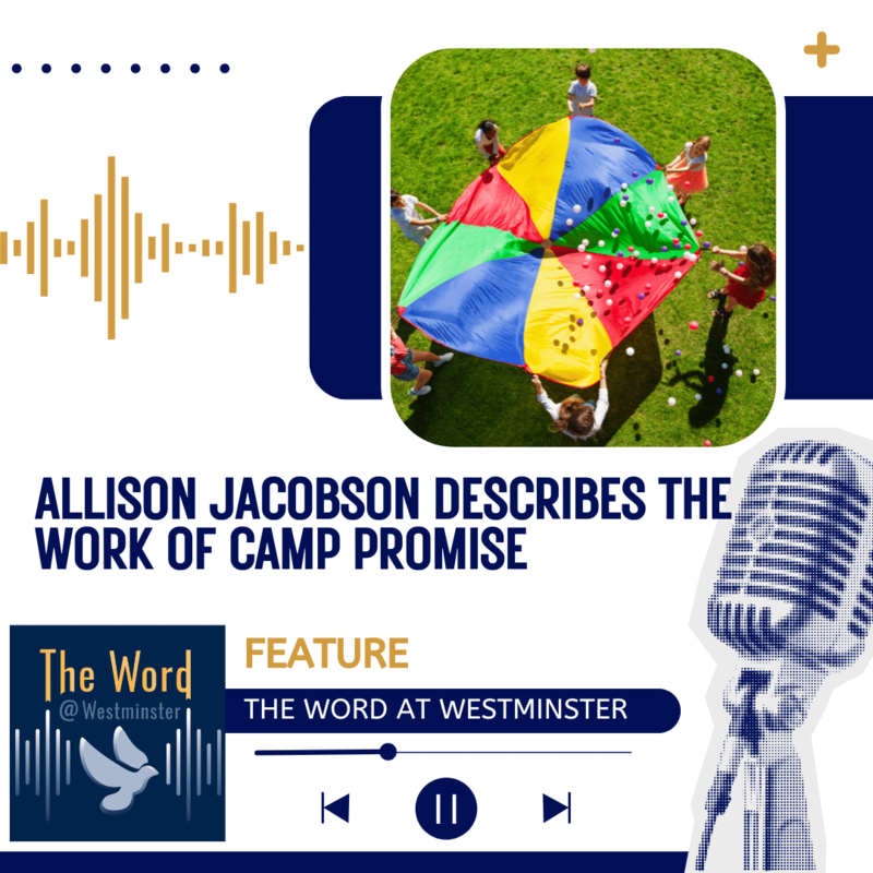 Allison Jacobson describes the work of Camp Promise
