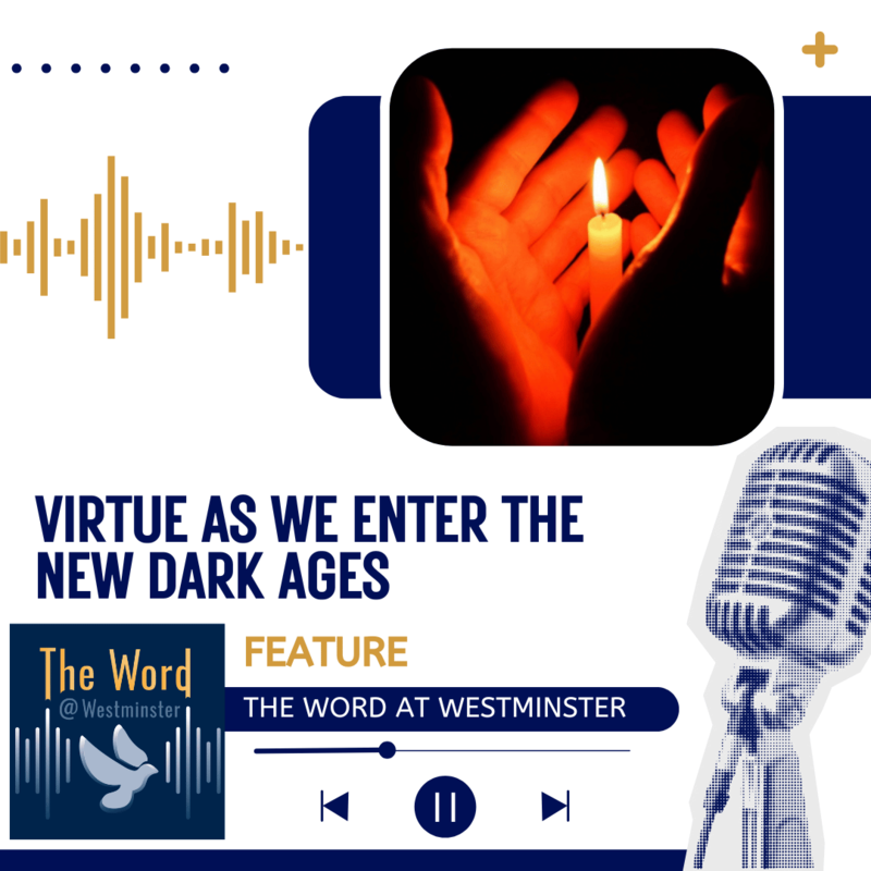 Virtue As We Enter The New Dark Ages
