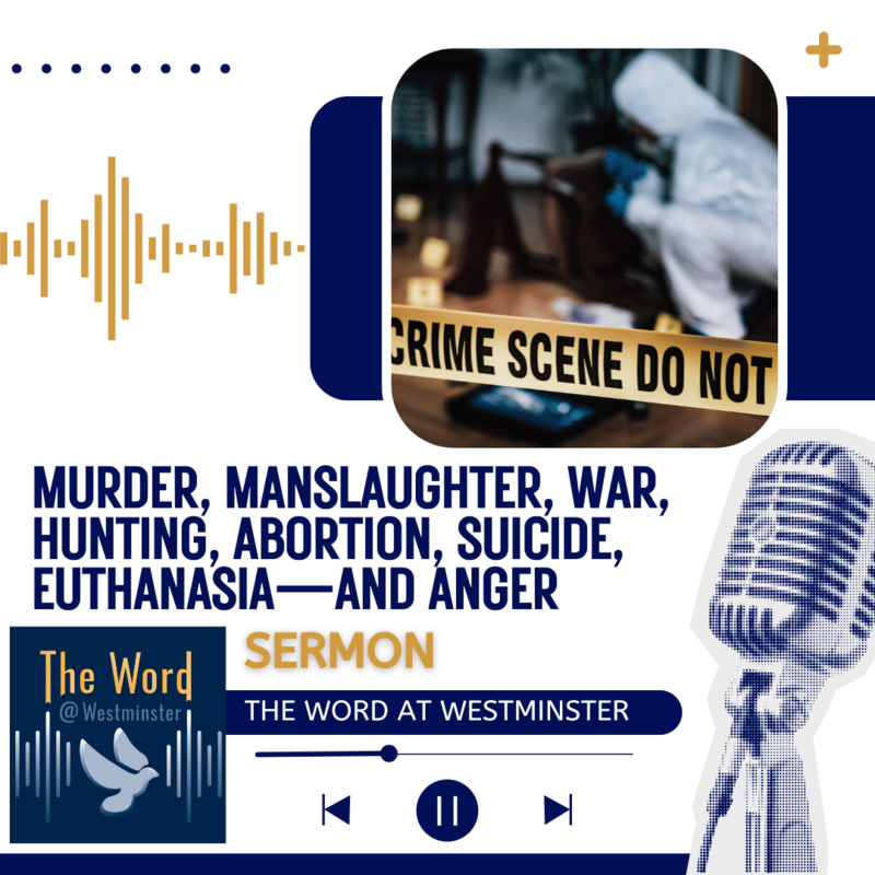 Murder, Manslaughter, War, Hunting, Abortion, Suicide, Euthanasia—and Anger (Sermon)