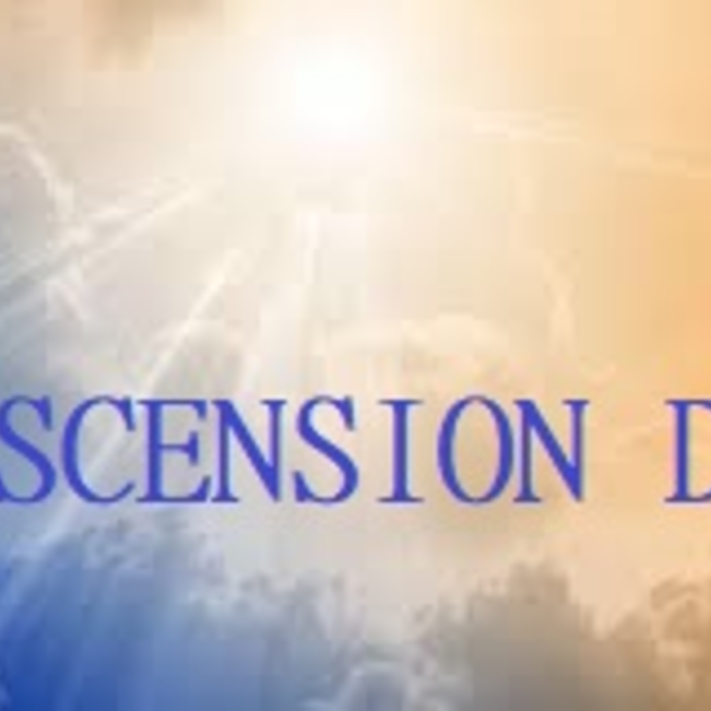 Brothers, the Scripture had to be fulfilled, which the Holy Spirit spoke beforehand