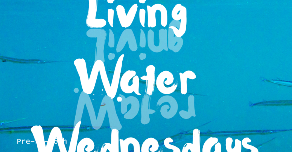 Living Water Wednesdays