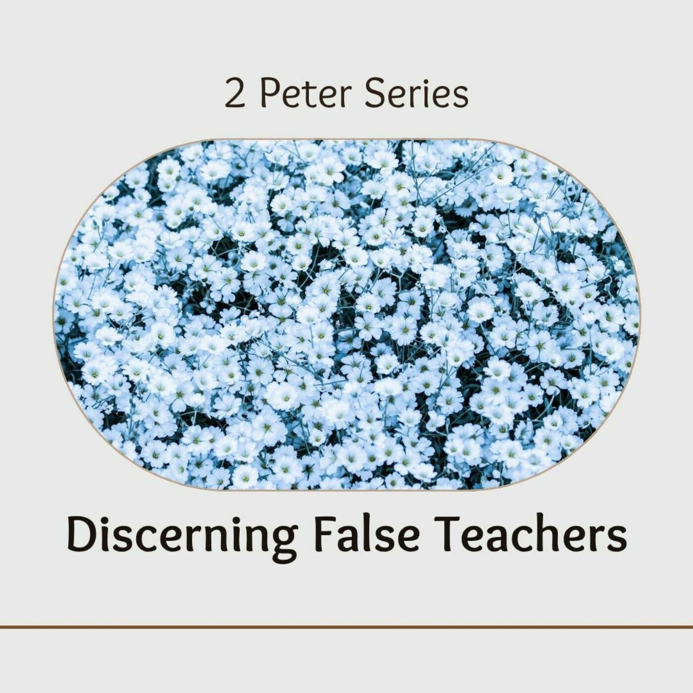 Discerning False Teachers