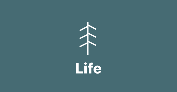 Tree 1: Life