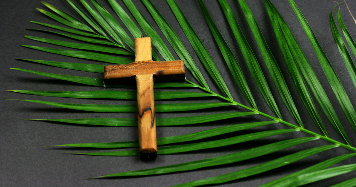 Slideshow image