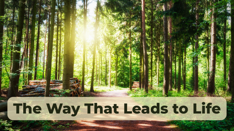 The Way That Leads to Life