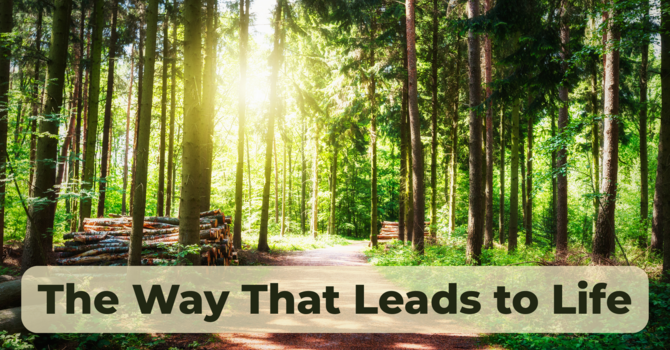 The Way That Leads to Life