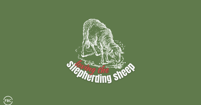 Loving the Shepherding Sheep