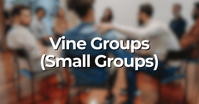 Small Groups update image