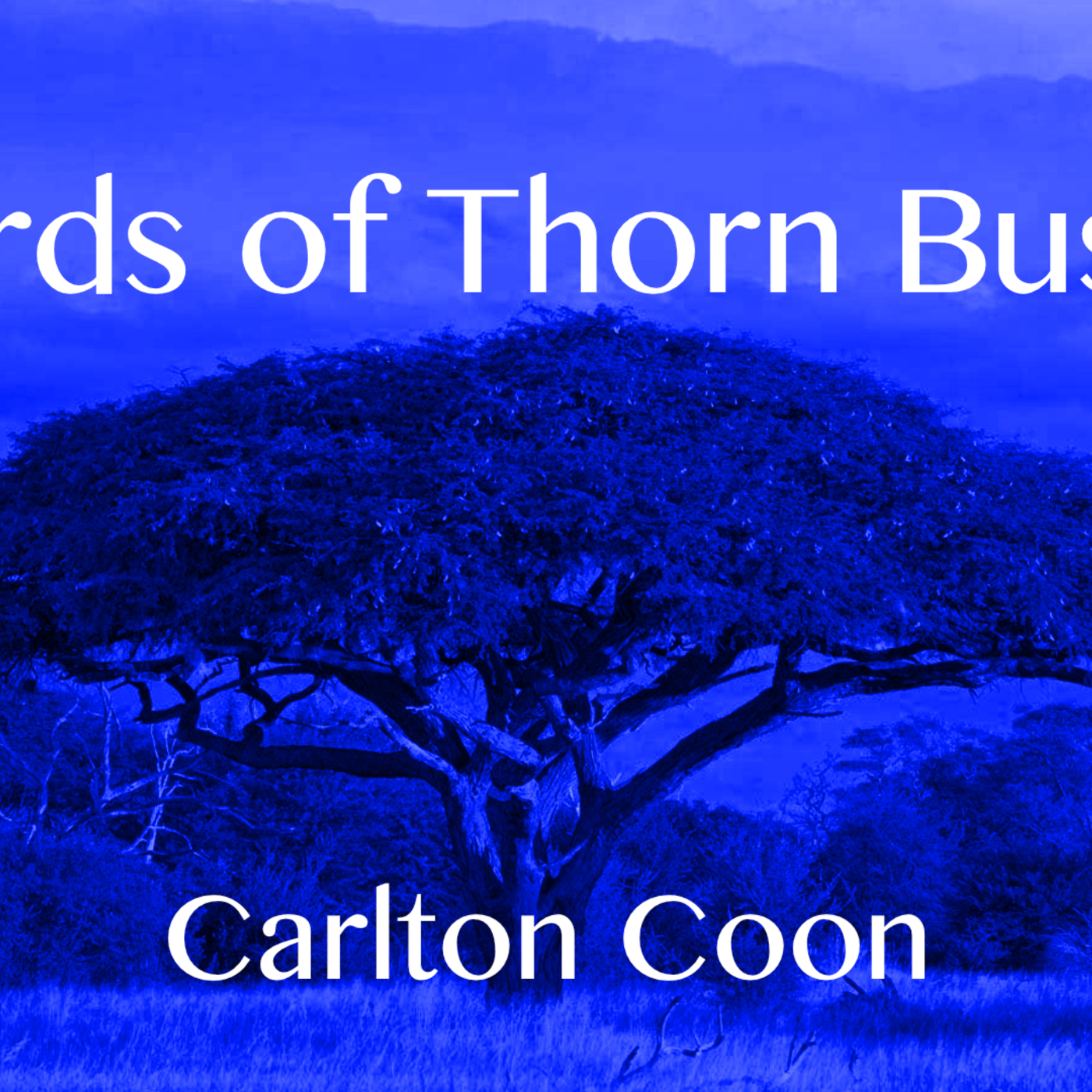 Boards of Thorn Bushes with Carlton Coon episode artwork