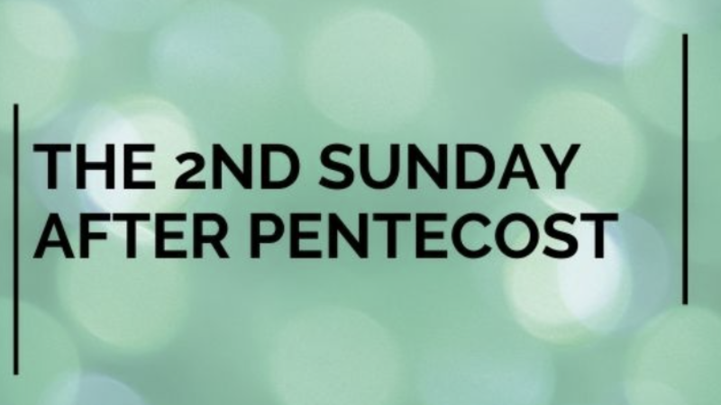 Second Sunday after Pentecost, June 22, 2025