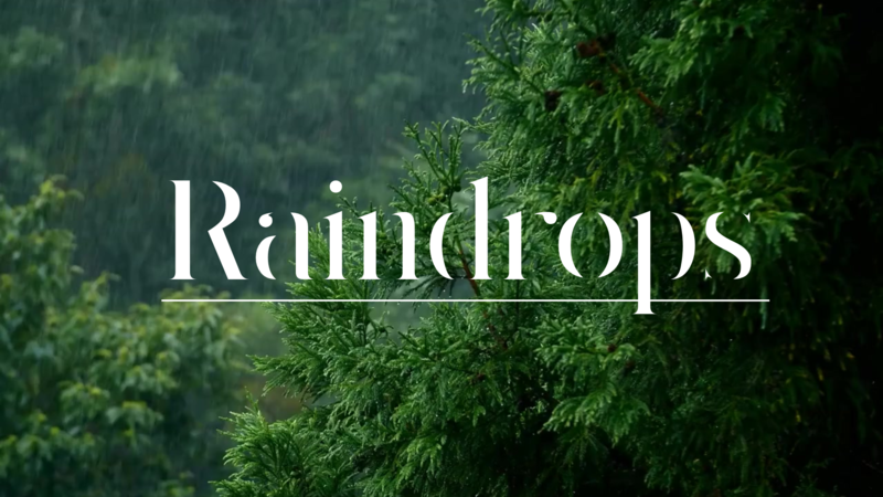 Raindrops