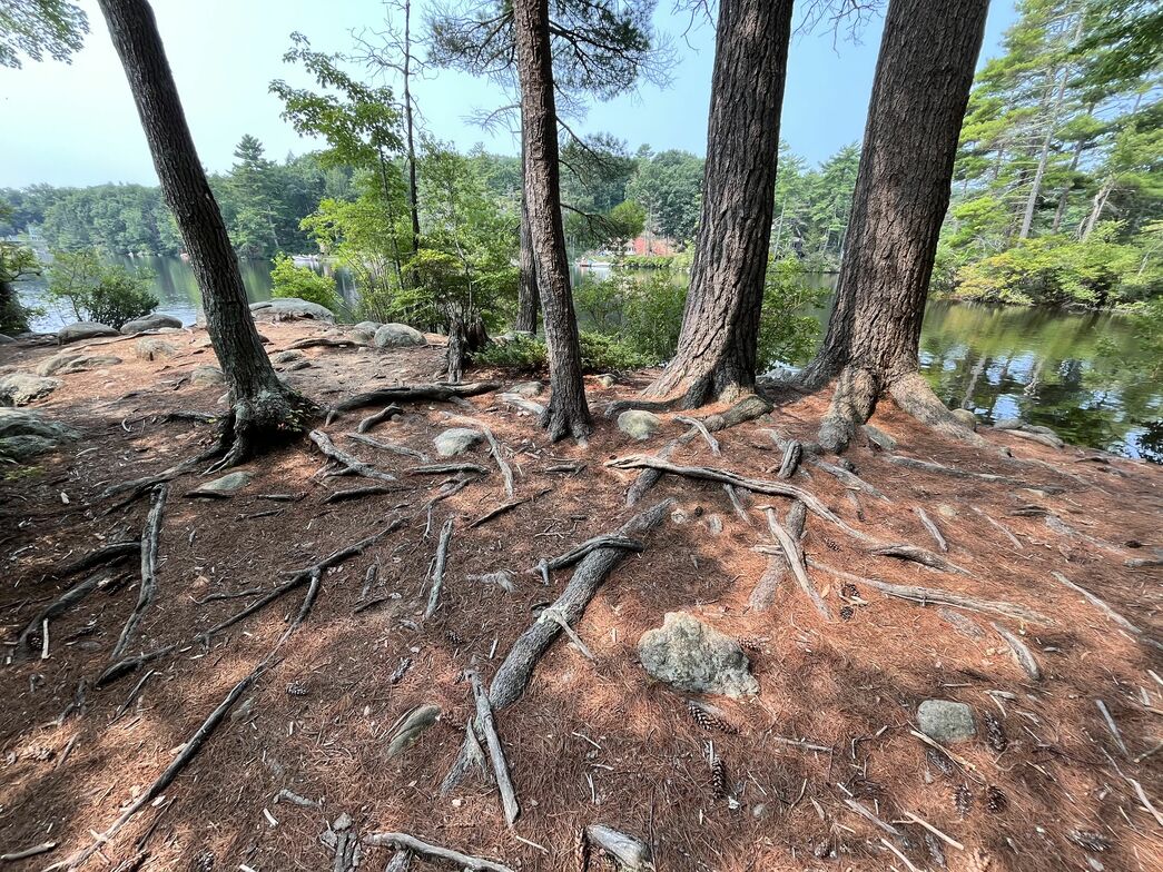 Slideshow image