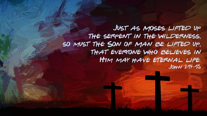 The Son of Man Lifted Up