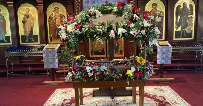 Panagia Blood Drive image