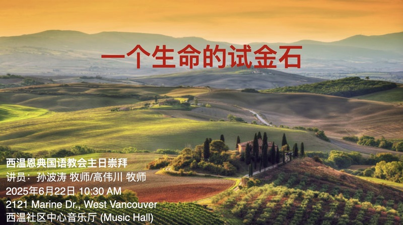 一个生命的试金石